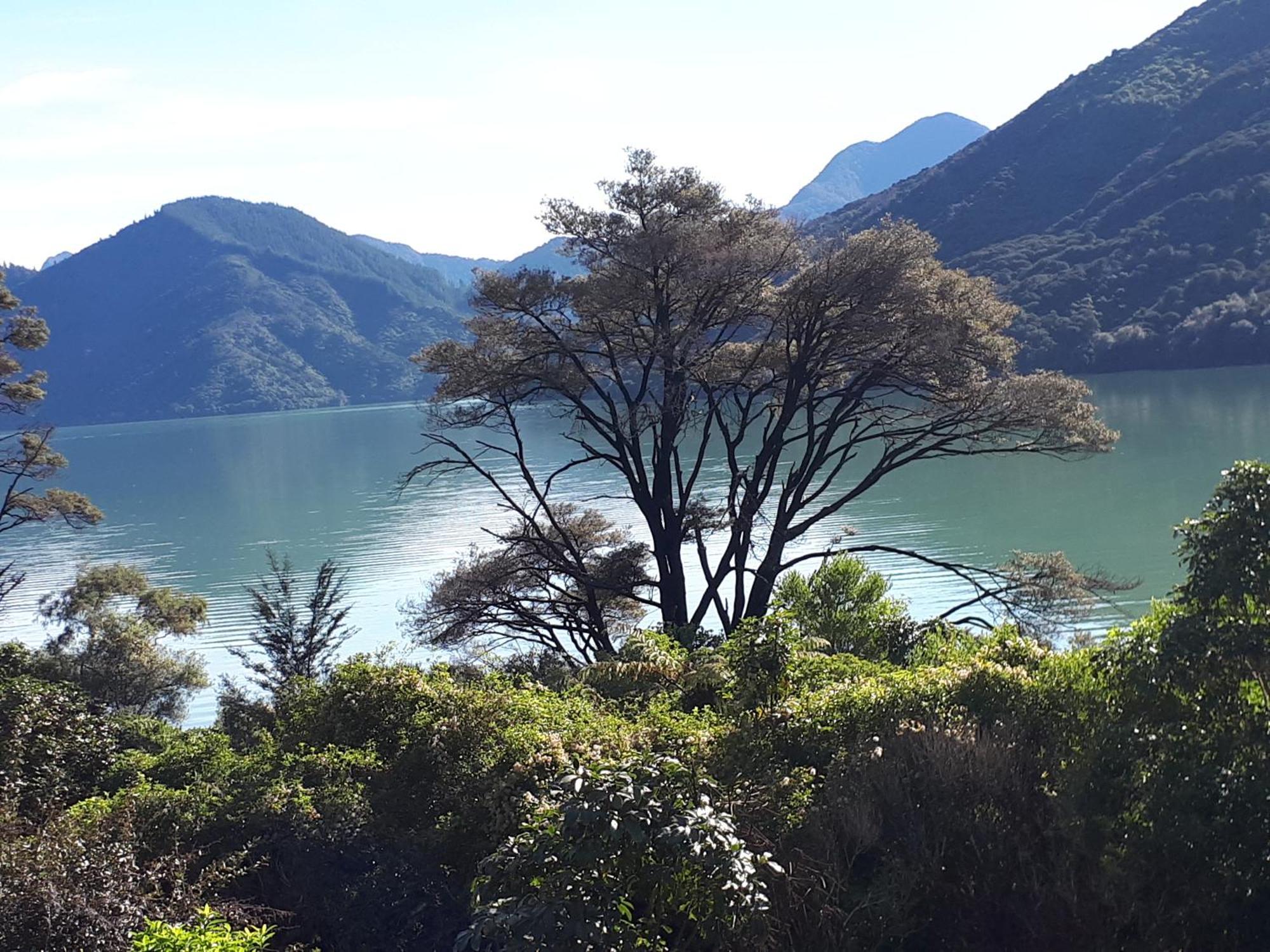 Marlborough Sounds Accommodation Хейвлок Экстерьер фото