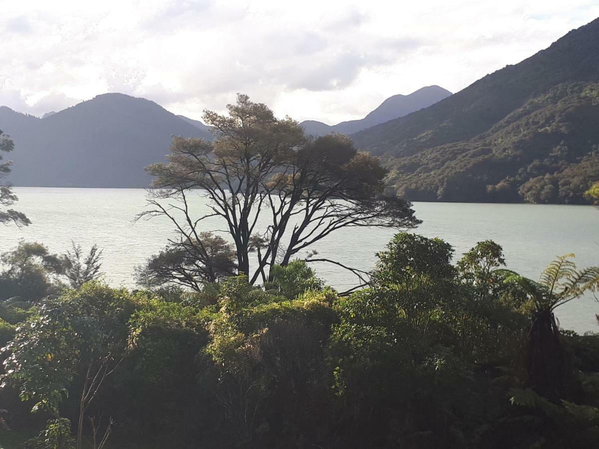 Marlborough Sounds Accommodation Хейвлок Экстерьер фото